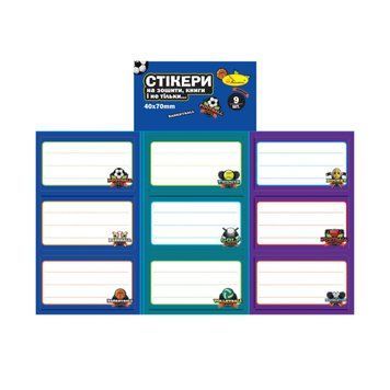 Набор стикеров для тетрадей и книг НС-15-1, 9 штук 70х40 мм НС-15-1 фото