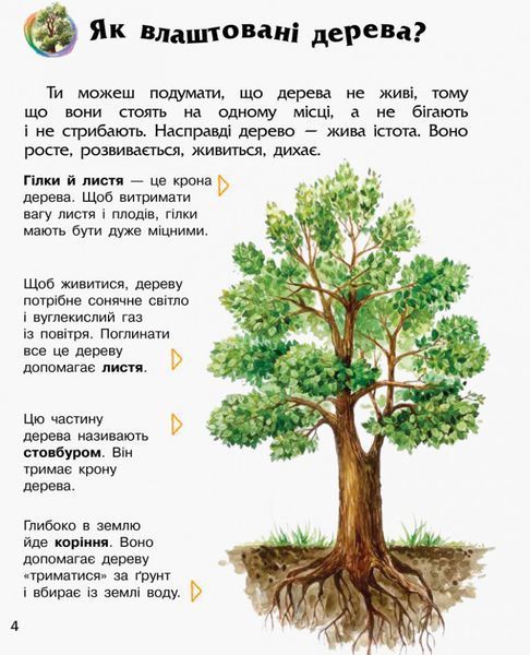 Дитяча енциклопедія про ліс 614016 для дошкільнят 614016 фото