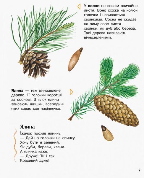 Дитяча енциклопедія про ліс 614016 для дошкільнят 614016 фото